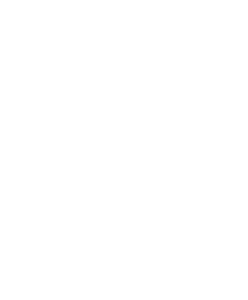 Logo Icon